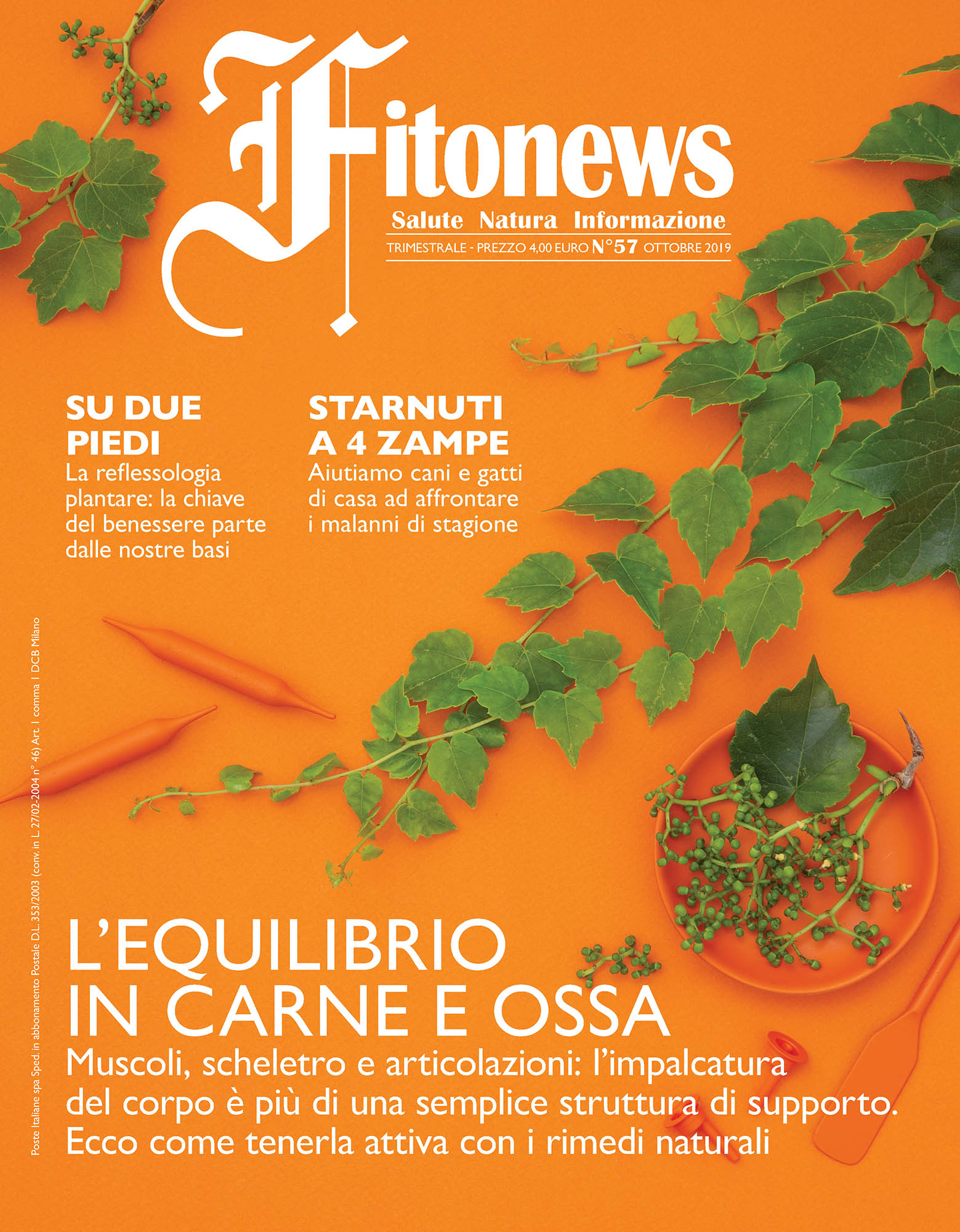 Artimove – Fitonews n°57/2019