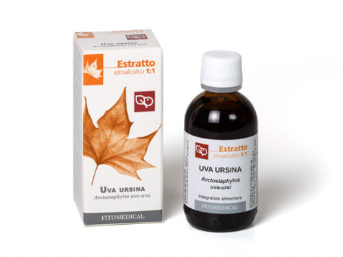 Uva ursina EF