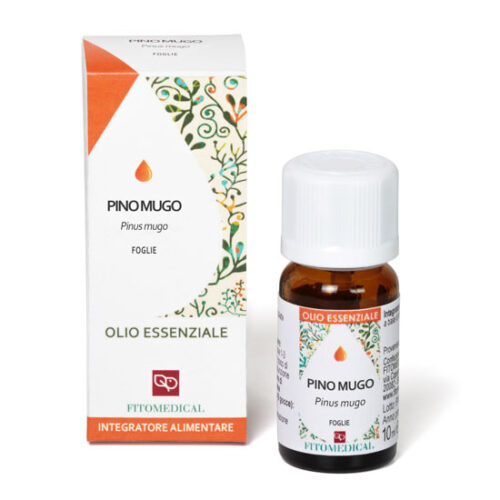 Pino mugo OE