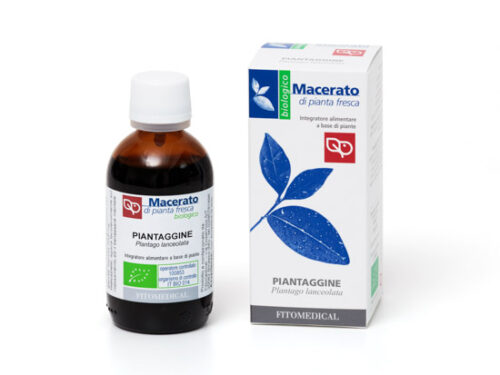 Piantaggine TM Bio