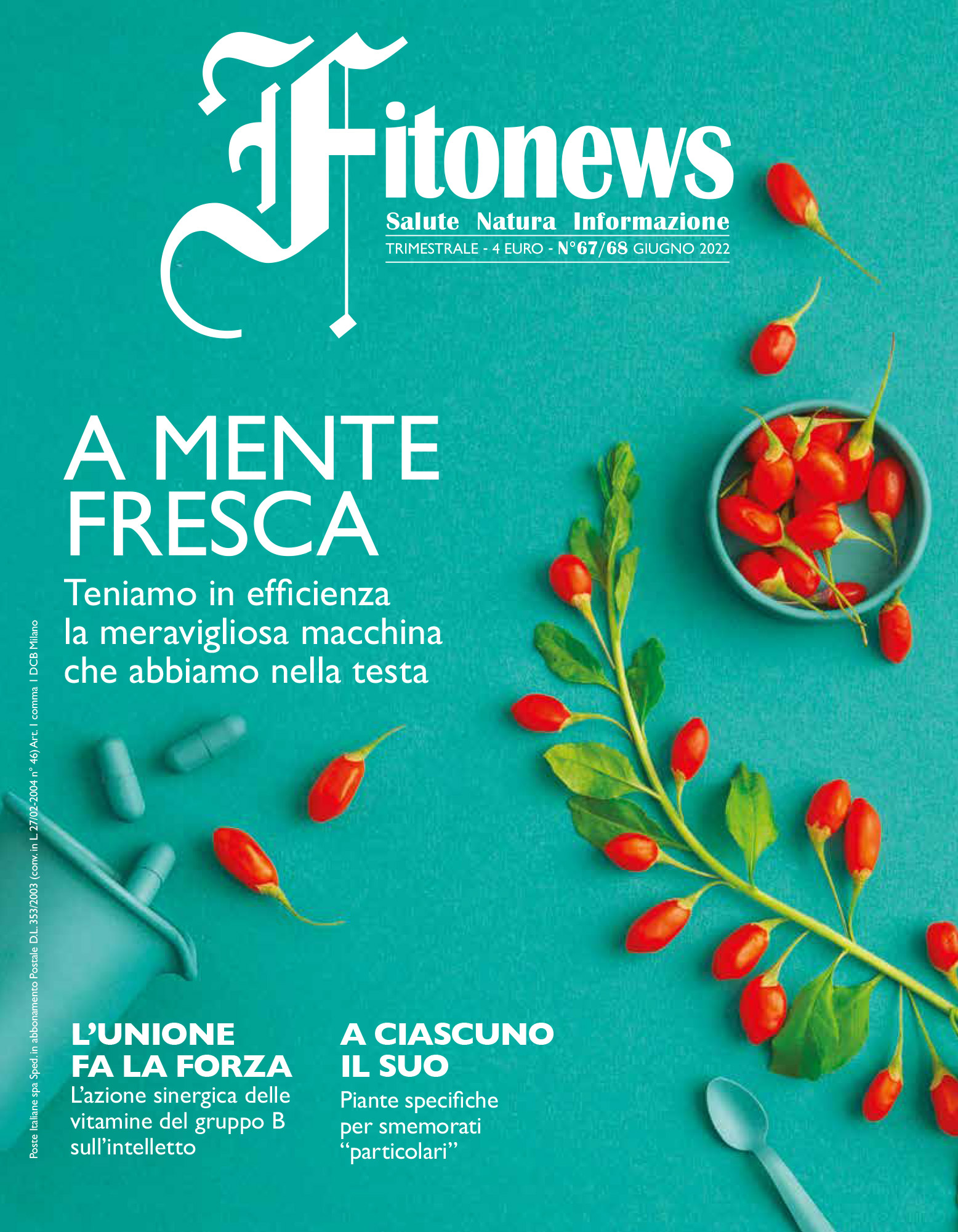 A mente fresca – Fitonews n°67-68/2022